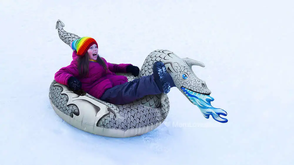 Photo of the GoFloats Inflatable Sled
