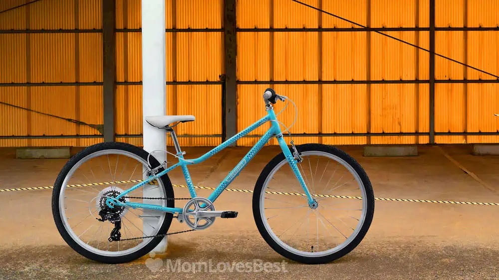 What size bike for a 11 year old online girl