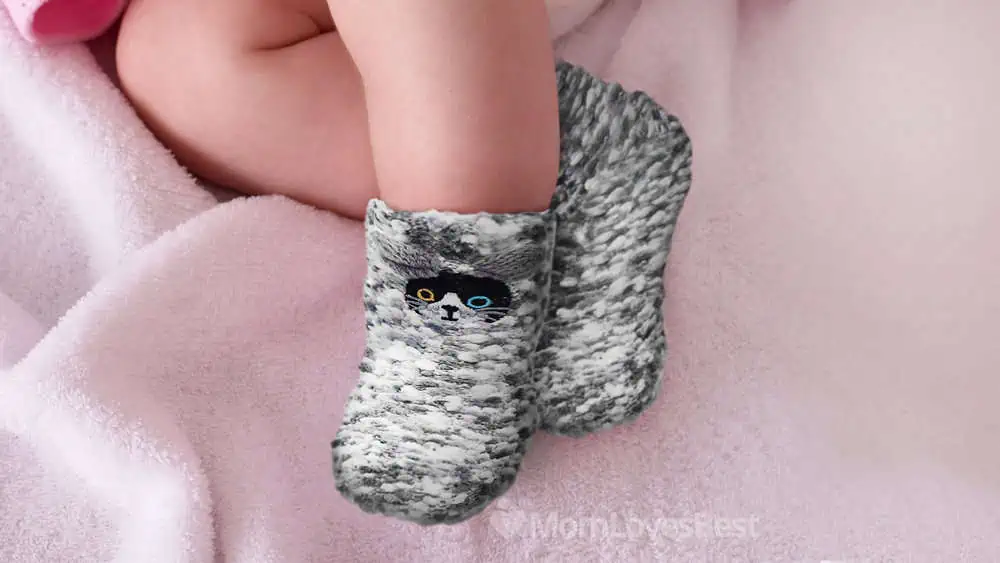 Photo of the Lovful Fuzzy Animal Winter Socks