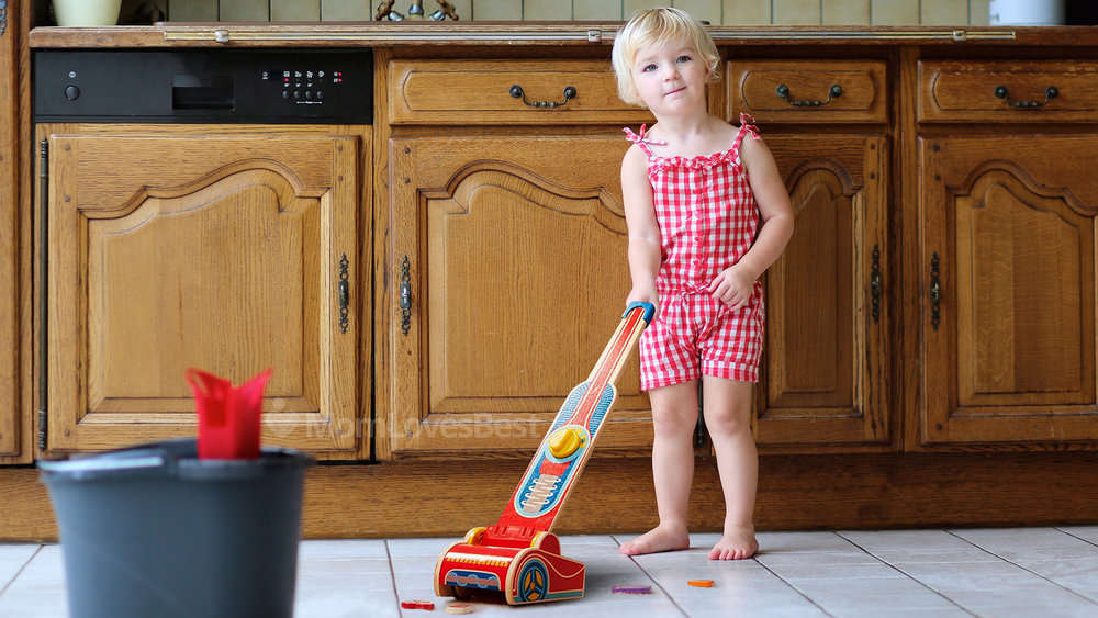 Photo of the Melissa and Doug Wooden Vacuum Toy
