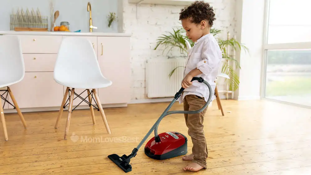 Photo of the Miele Toy Canister Vacuum