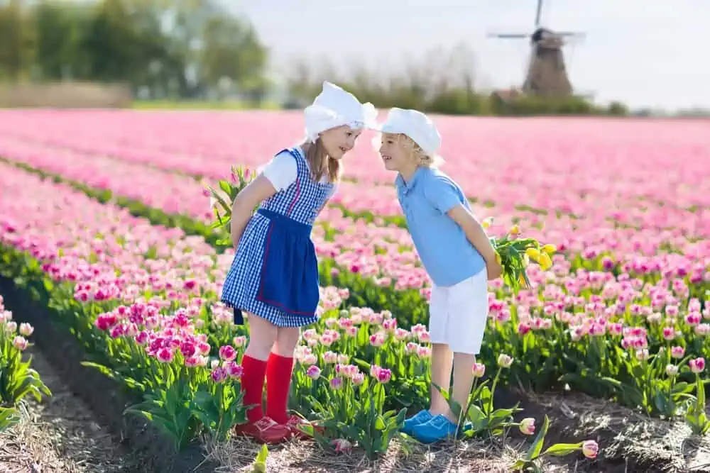 A boy and a girl spending time in the tulip field near windmill.