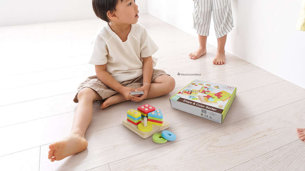 Photo of the Joyin Toy Educational Sorting Puzzles
