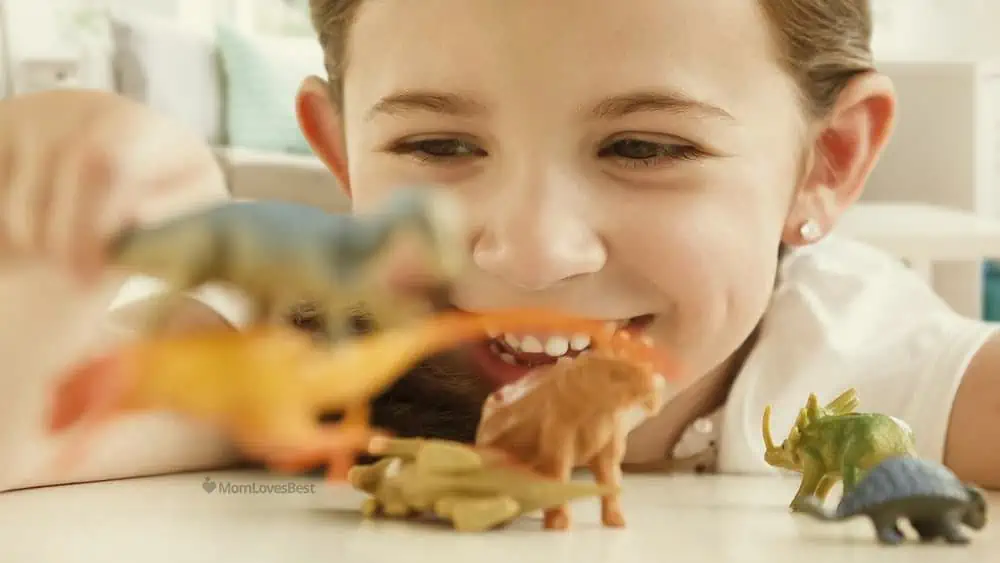 Photo of the Mini Dinosaur Toy Set