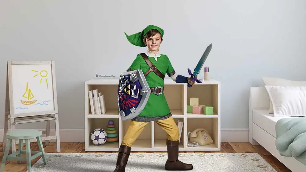 Photo of the Legend of Zelda Link Sword
