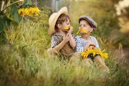 Two little boys playing with sunflower petals in the garden.