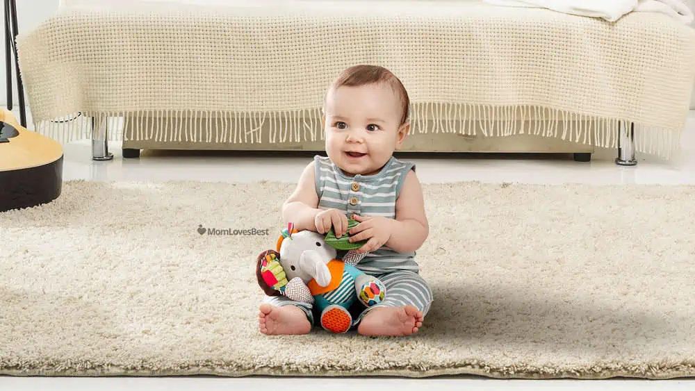 Photo of the Skip Hop Baby Activity and Teething Toy