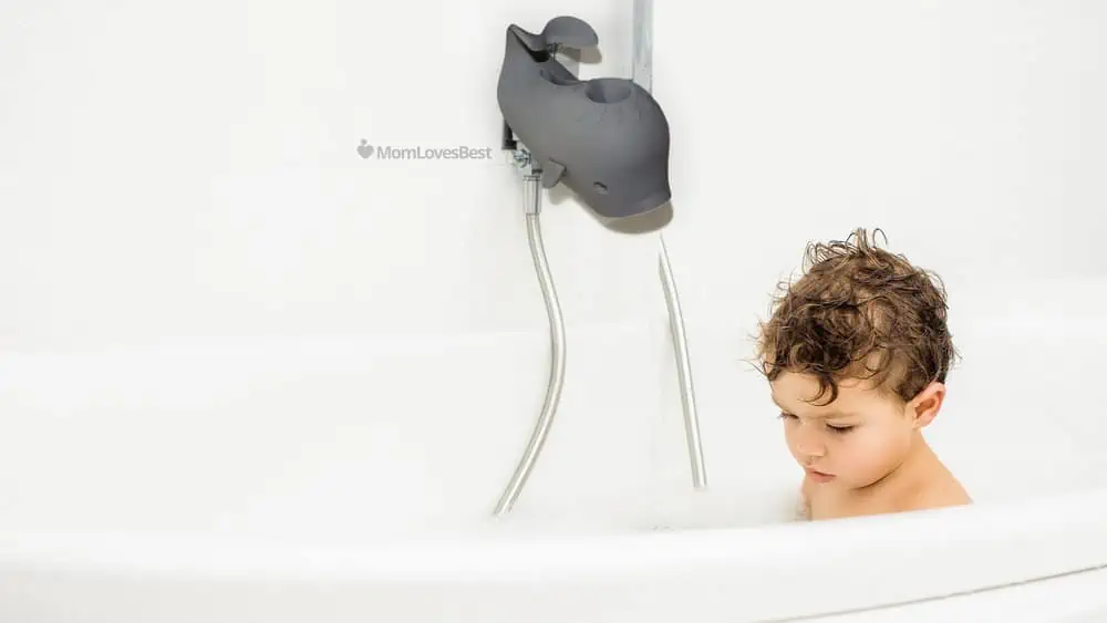 Photo of the Whale Spout Cover Bath Toy