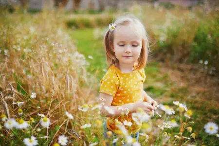 Little girl picking daisies in the garden.