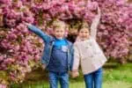 Cheerful kids walking while holding hands at full bloom sakura garden