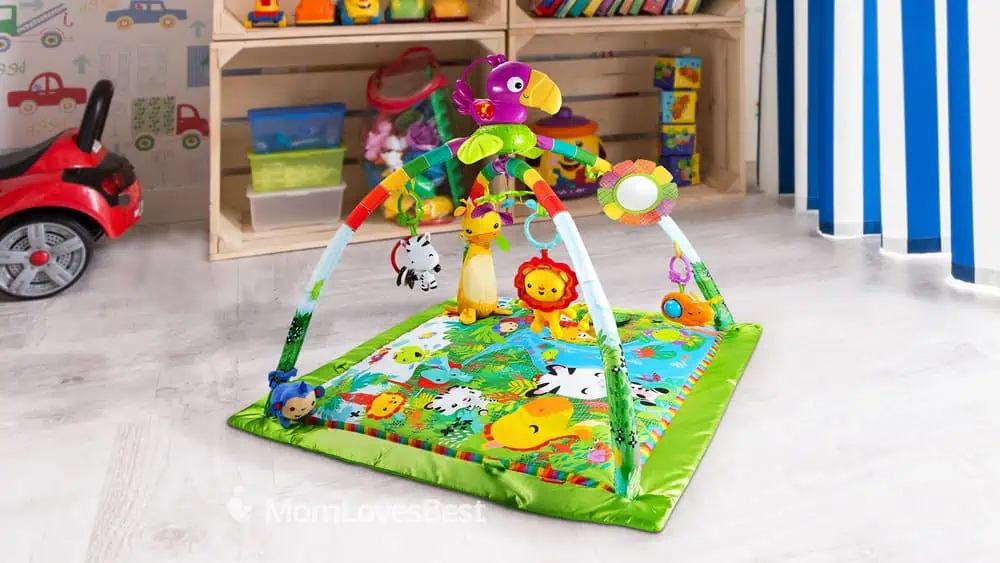 Photo of the Fisher-Price Rainforest Deluxe Gym