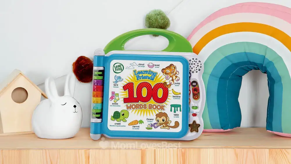 Photo of the LeapFrog Learning Friends 100 Words Book