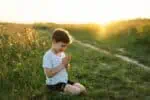 Adorable little boy kneeling and praying in the field at sunset