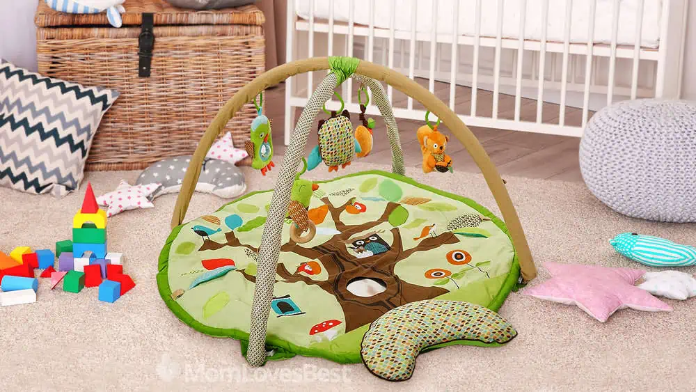 Photo of the Skip Hop Treetop Friends Infant Activity Gym