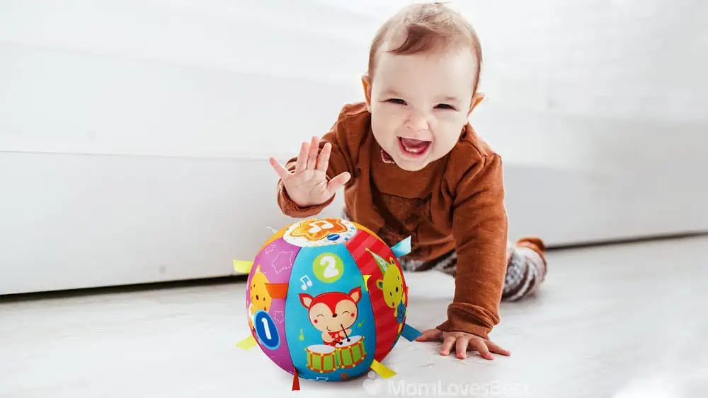 Photo of the VTech Baby Lil' Critters Discover Ball
