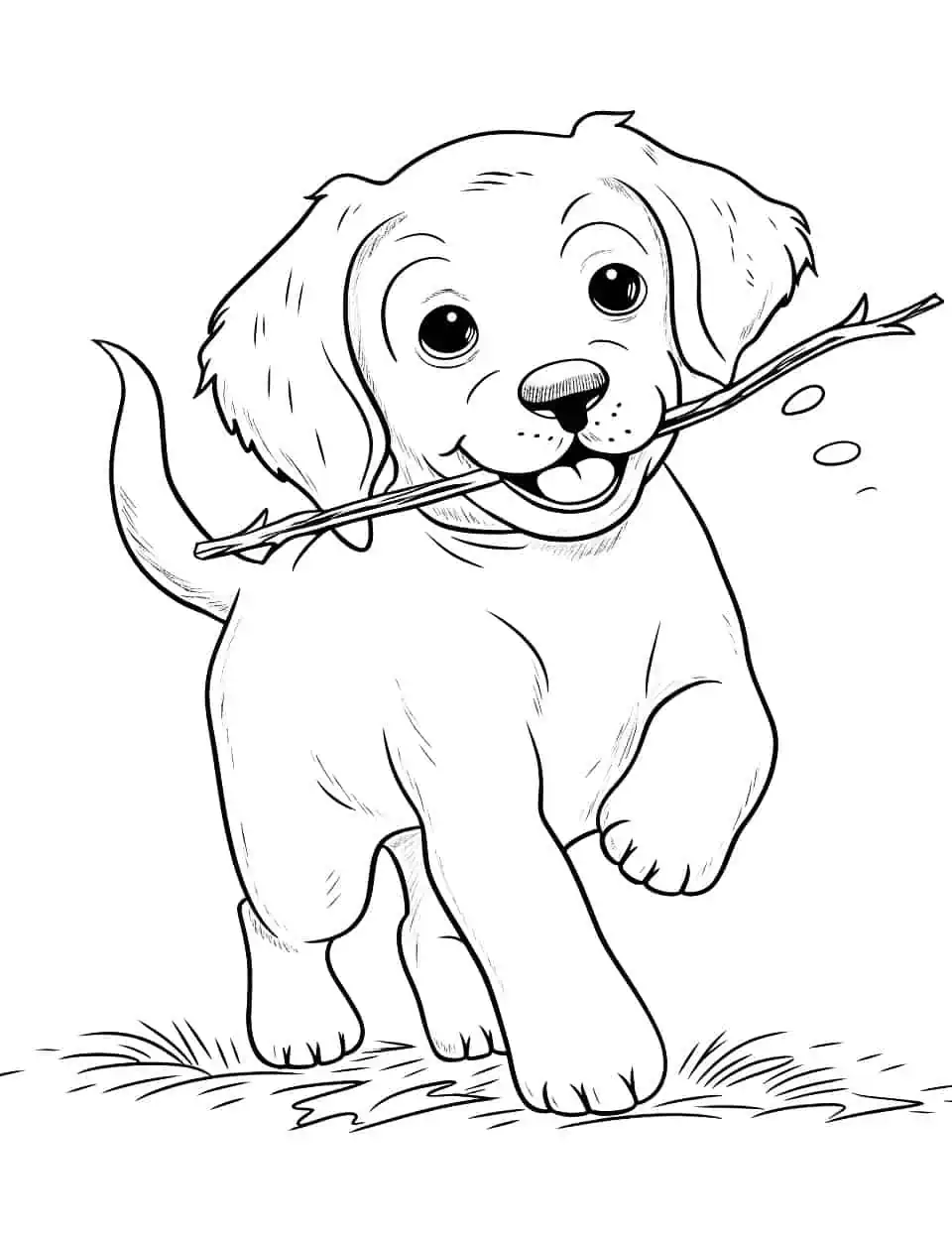 Golden Retriever Fetch Dog Coloring Page - A Golden Retriever is happily fetching a stick.