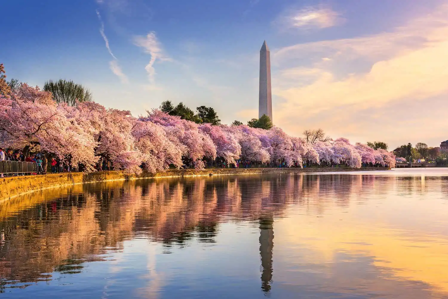 Beautiful washington dc in spring season with river reflection