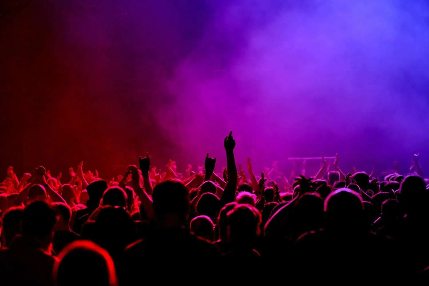 People raising their hands at a concert