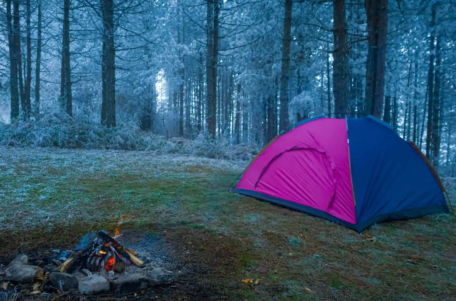 Camping tent near the bonfire in the forest