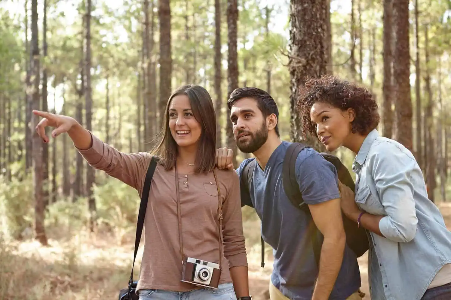 Three friends looking at something in the forest