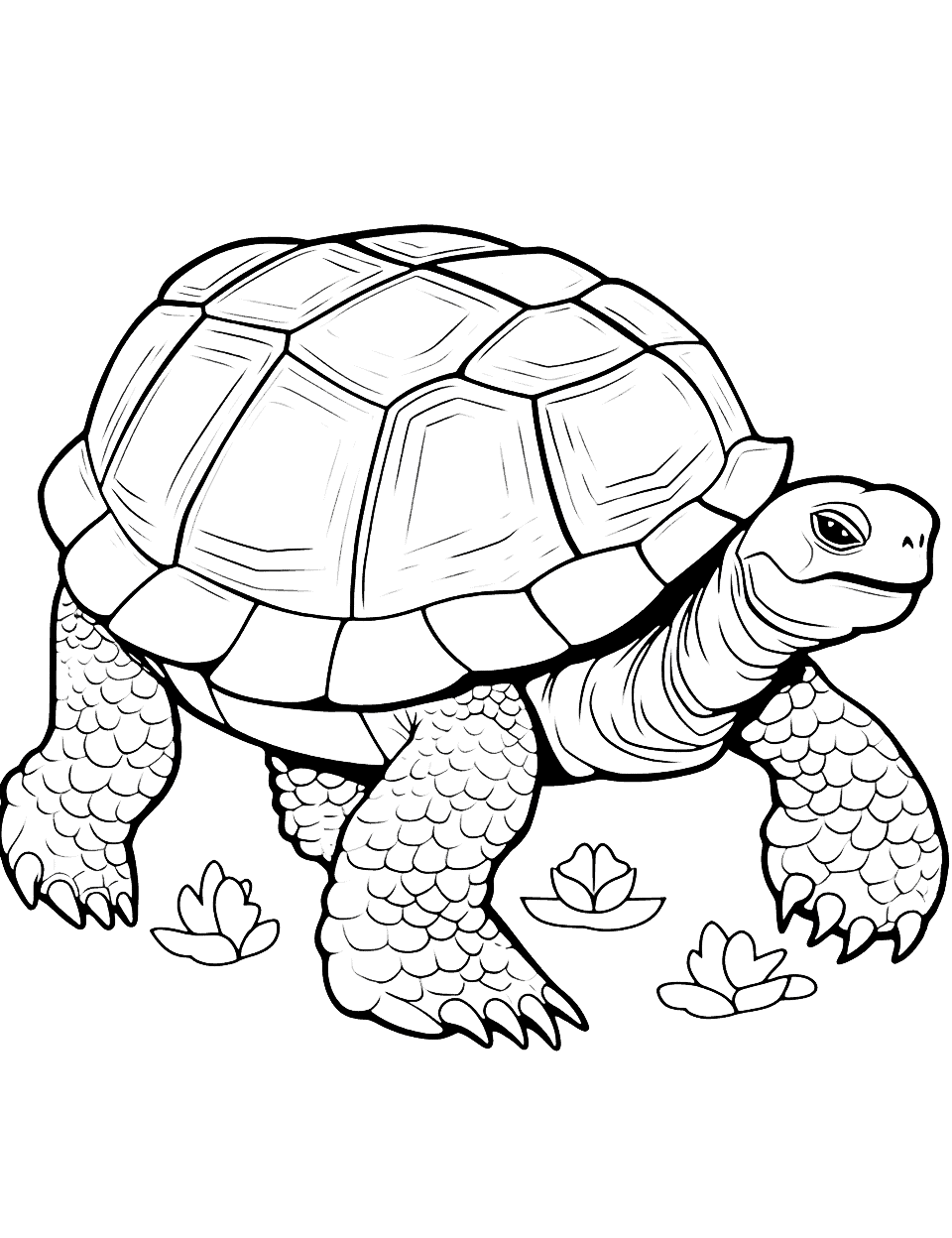Wise Tortoise Animal Coloring Page - A wise and old tortoise slowly moving across the ground.