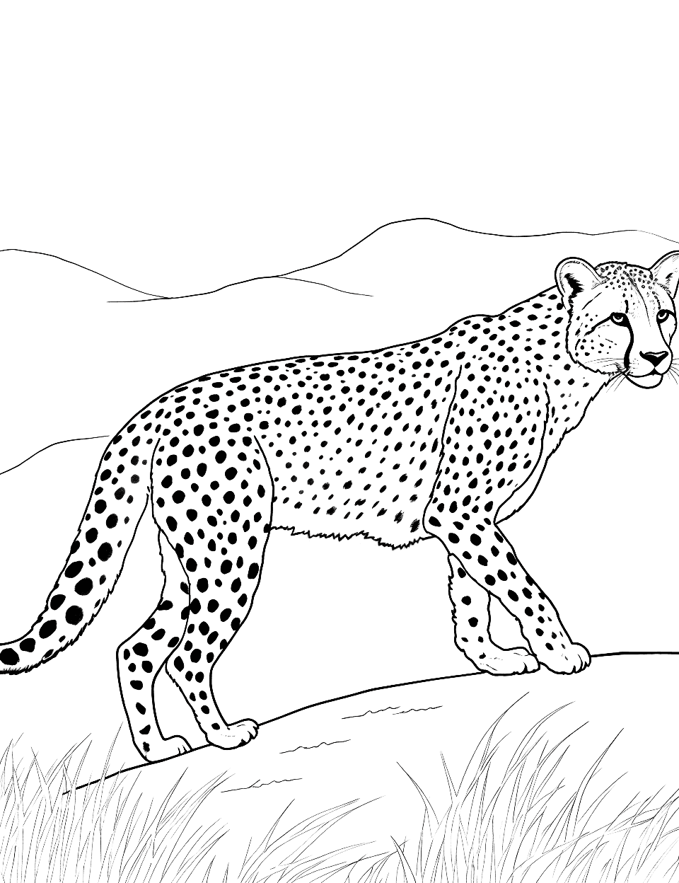 Cheetah on the Prowl Coloring Page - A cheetah stealthily stalking its prey across the grasslands.