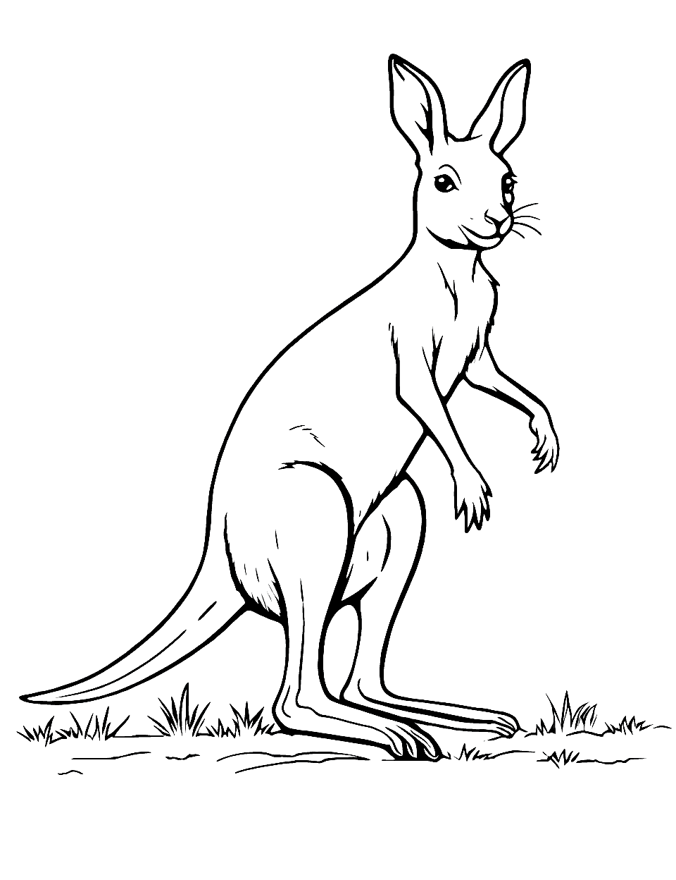 Happy Kangaroo Coloring Page - A kangaroo hopping joyfully in the Australian outback.