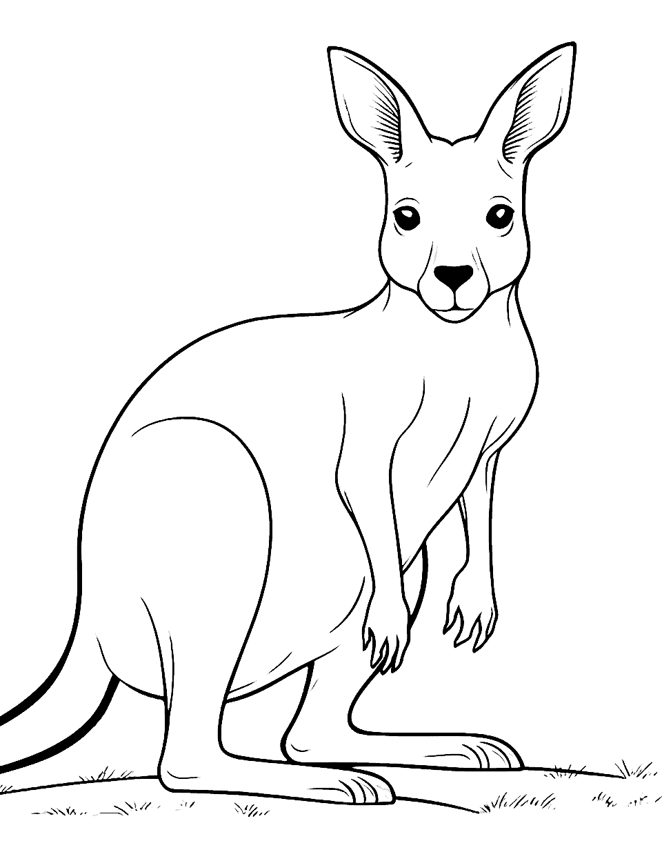 Playful Kangaroo Joey Animal Coloring Page - A kangaroo joey ready to explore.