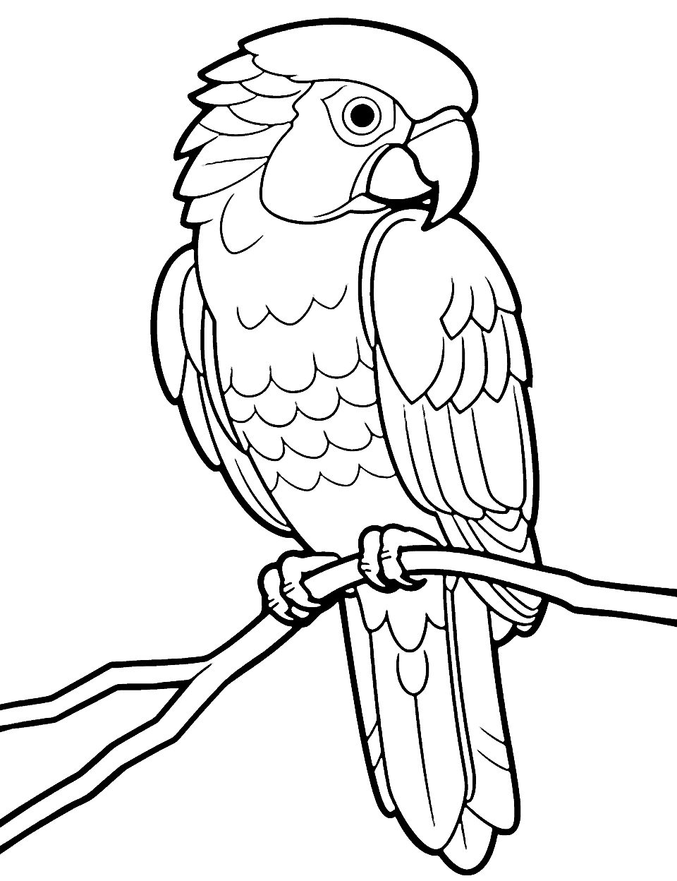 Colorful Macaw Animal Coloring Page - A vibrant macaw perched on a branch, showing off its colorful feathers.
