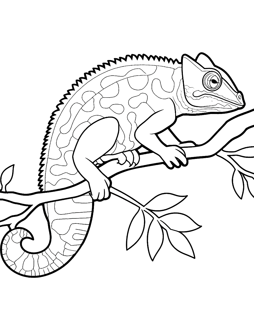 Curious Chameleon Animal Coloring Page - A chameleon clinging to a branch, its colors blending with the surroundings.