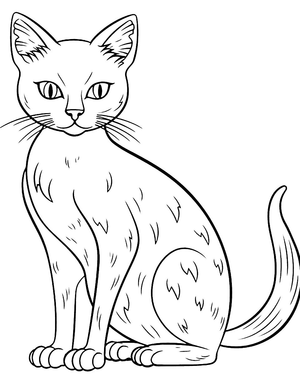 Detailed Siamese Cat Coloring Page - A highly detailed image of a Siamese cat with its distinctive color points.