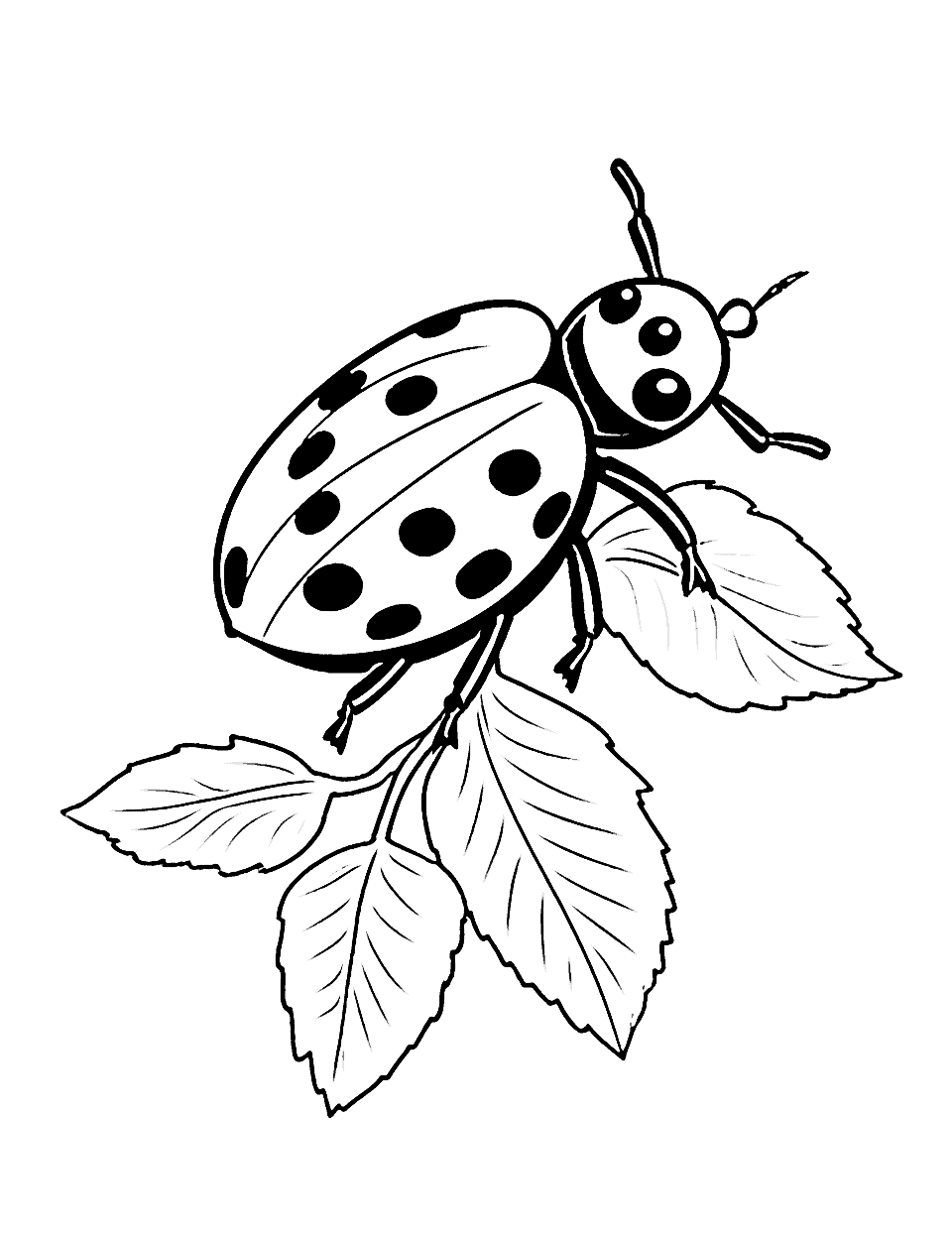Cute Ladybug on a Leaf Coloring Page - A small ladybug crawling on a green leaf.