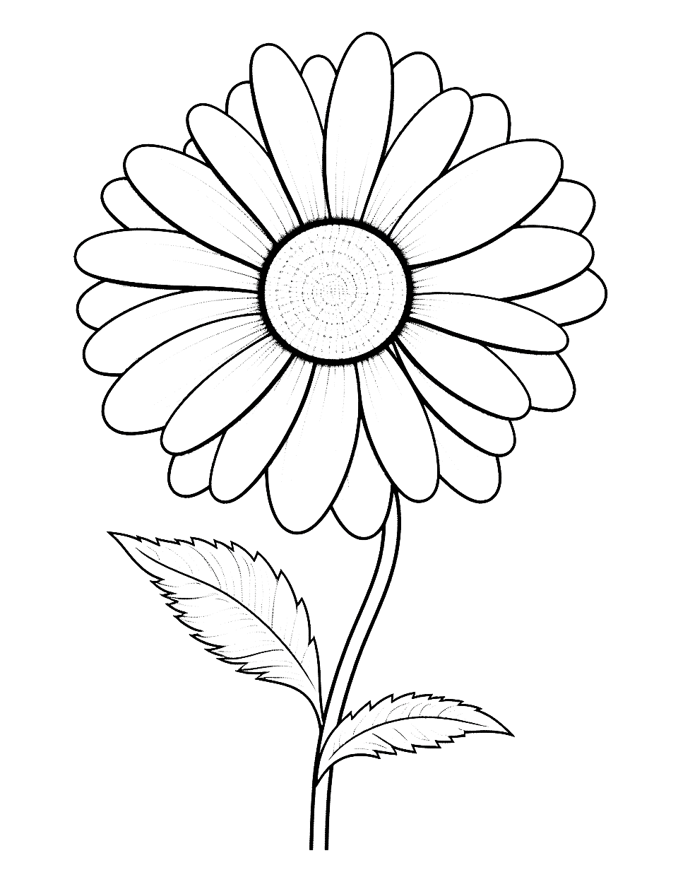 Difficult Daisy Flower Coloring Page - A detailed, complex daisy design for advanced colorists.