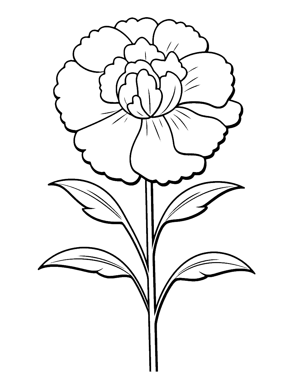 Kindergarten Carnation Flower Coloring Page - An easy, large carnation flower for kindergarten kids.
