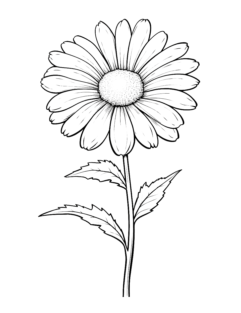 Beautiful Daisy Drawing Flower Coloring Page - A detailed drawing of a beautiful daisy.
