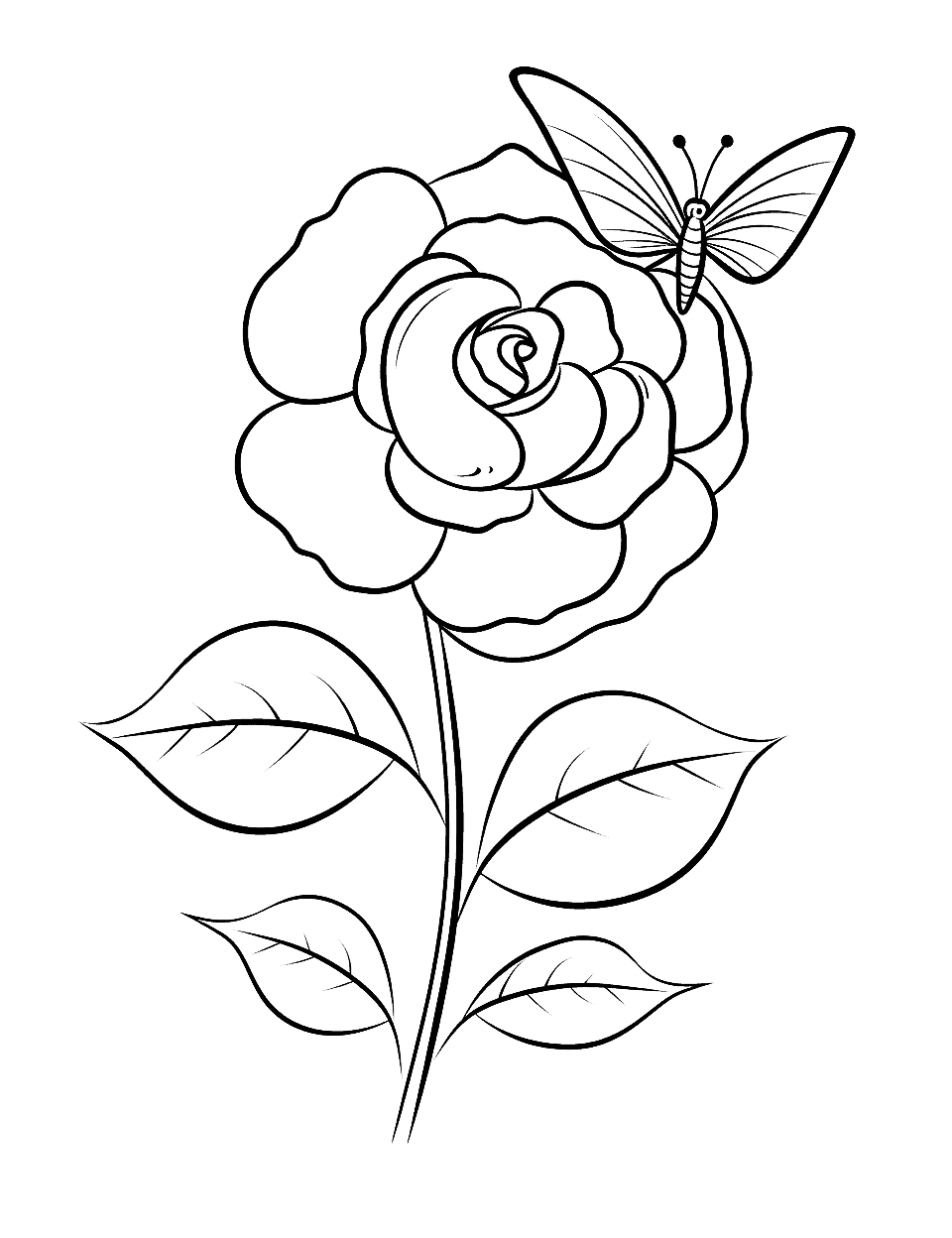 Rose flower pencil art, Black and white outline vector coloring page and  book for adults and children flowers white rose, with leaves hand drawn  engraved ink illustration artistic design. 17797082 Vector Art