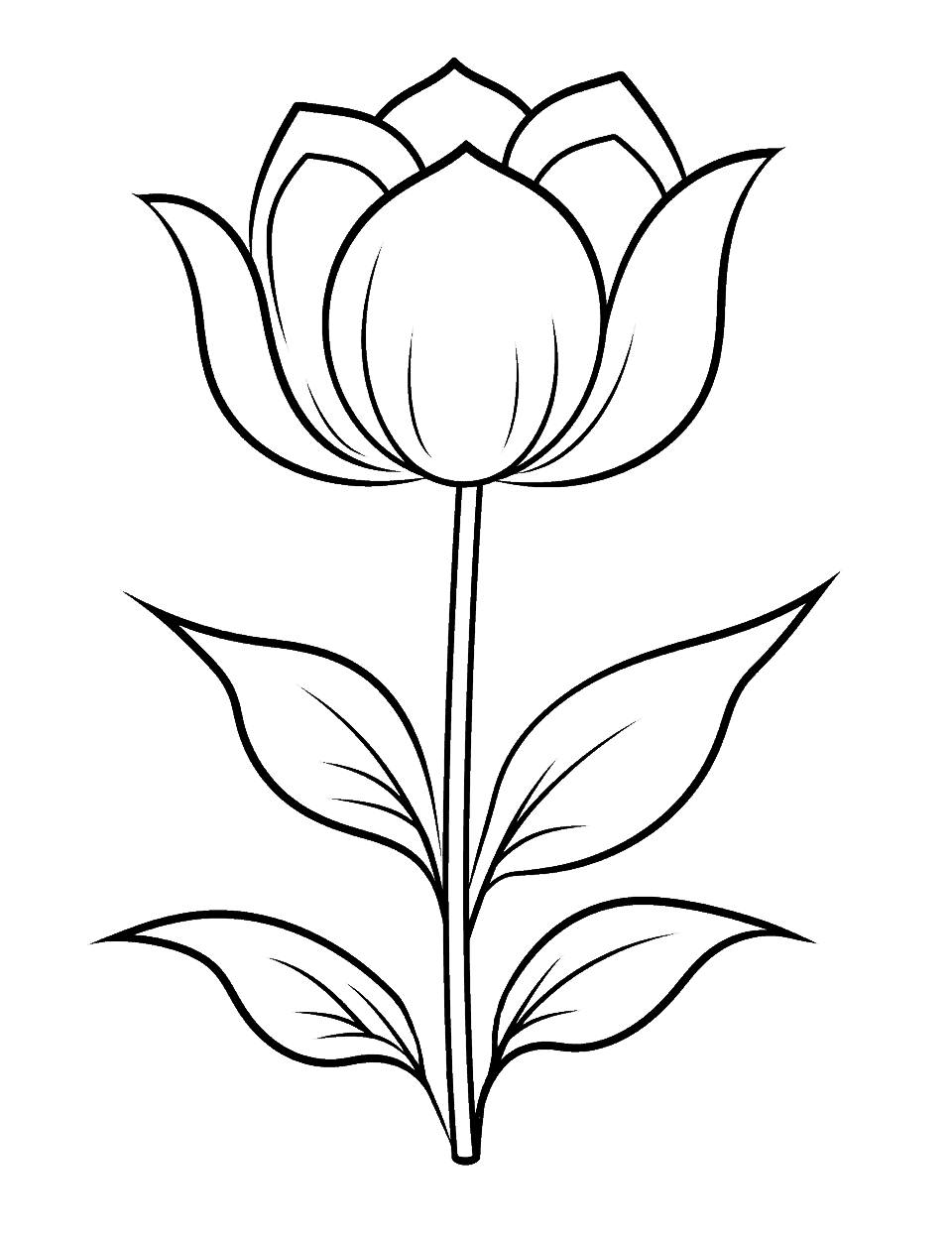 Easy Tulip for Preschool Flower Coloring Page - A single tulip stands tall on a straight stem with four sweeping leaves. The cup is built from a few large petal shapes with no fine lines inside. Red, yellow, or purple all suit it, and the leaves take one easy green. This is a good page for practicing staying inside the lines. Print several and make a paper tulip row along a wall.