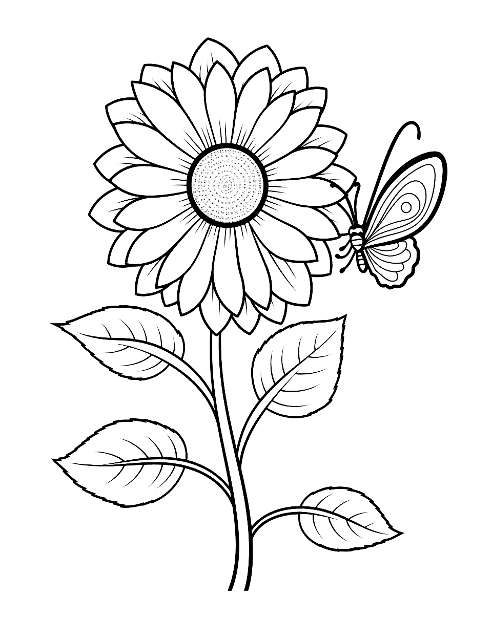 Sunflower and Butterfly Flower Coloring Page - A wide flower with a speckled middle takes up most of the page, and a small butterfly hovers at the right edge. The petals are long and separated, so each one can be a slightly different shade of yellow or orange. The butterfly wing has thin ring patterns inside, best handled with a fine tip pen. Kids around six and up will manage this one on their own. Nice choice for a spring bulletin board.