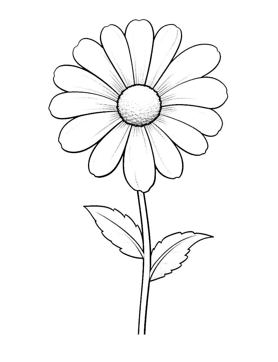 Large and Easy Daisy Flower Coloring Page - A large, easy-to-color daisy, perfect for young kids.