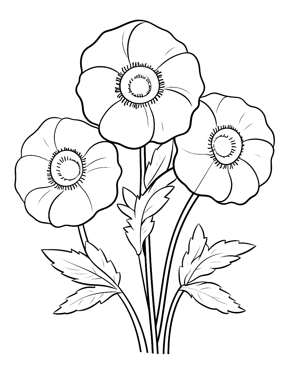 Pretty Preschool Poppies Flower Coloring Page - Simple and pretty poppies for a preschool coloring page.