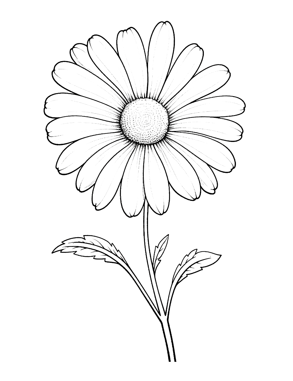 Single Stem Daisy Flower Coloring Page - Long slim petals radiate from a speckled center on a bare stem with two toothed leaves. Faint lines run down each petal, giving pencils something to follow. Pale pink or white petals keep the speckled middle as the star. Quiet, tidy page that does not take all afternoon.