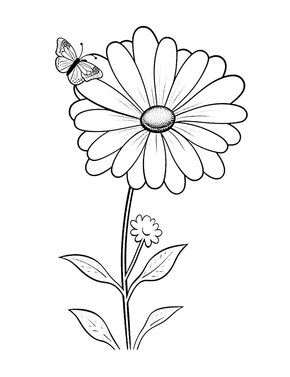 Cute Butterfly on Daisy Coloring Page - A cute scene of a butterfly on a daisy flower.