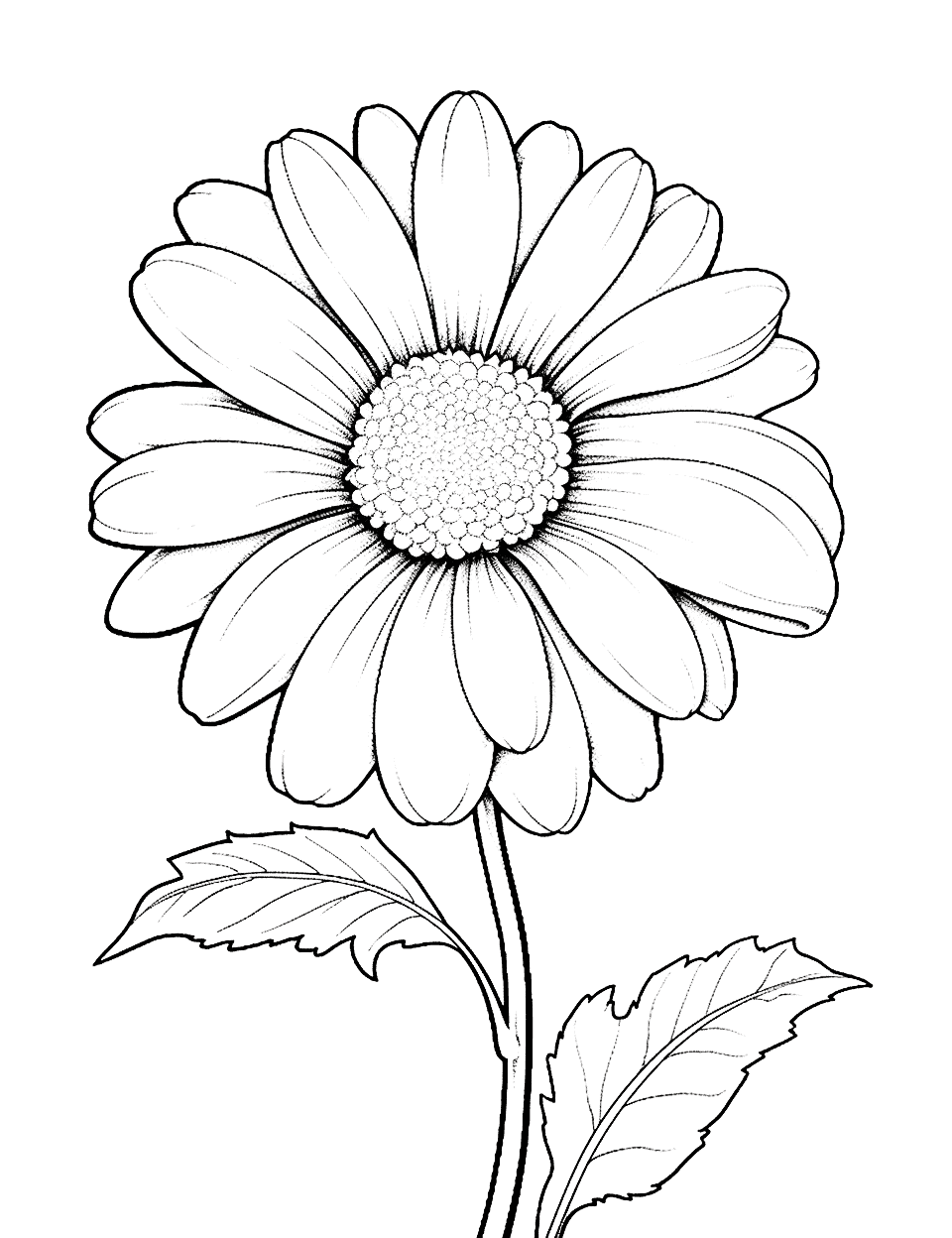 Difficult Daisy Drawing Flower Coloring Page - An intricate, detailed drawing of a daisy for a challenging coloring session.
