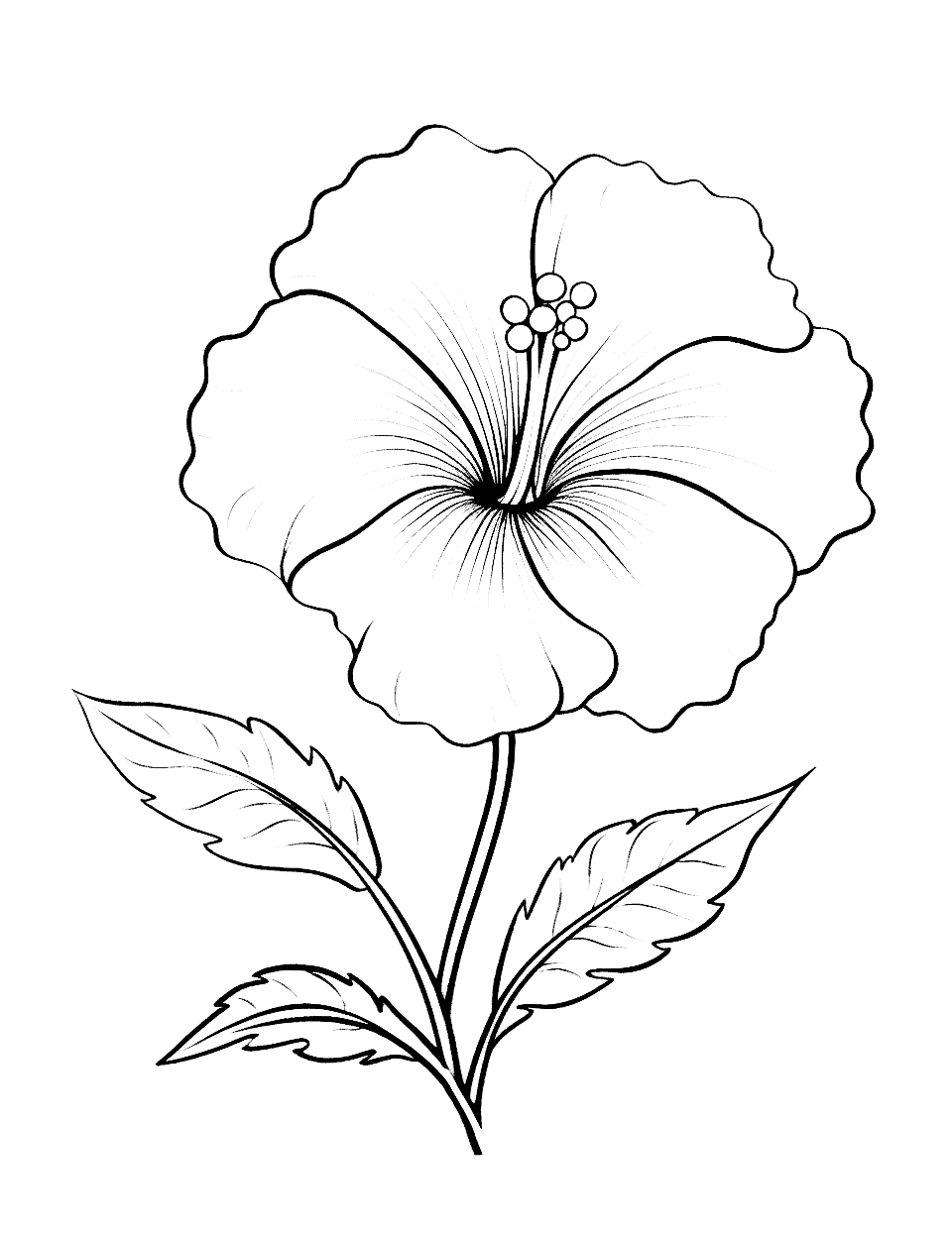 coloring pages hawaiian flower