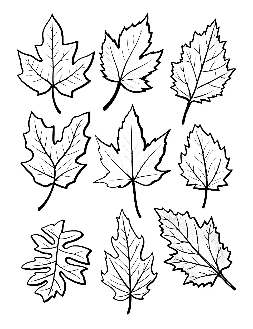 Fall Leaves Symphony Thanksgiving Coloring Page - A symphony of fall leaves in various shapes and sizes.
