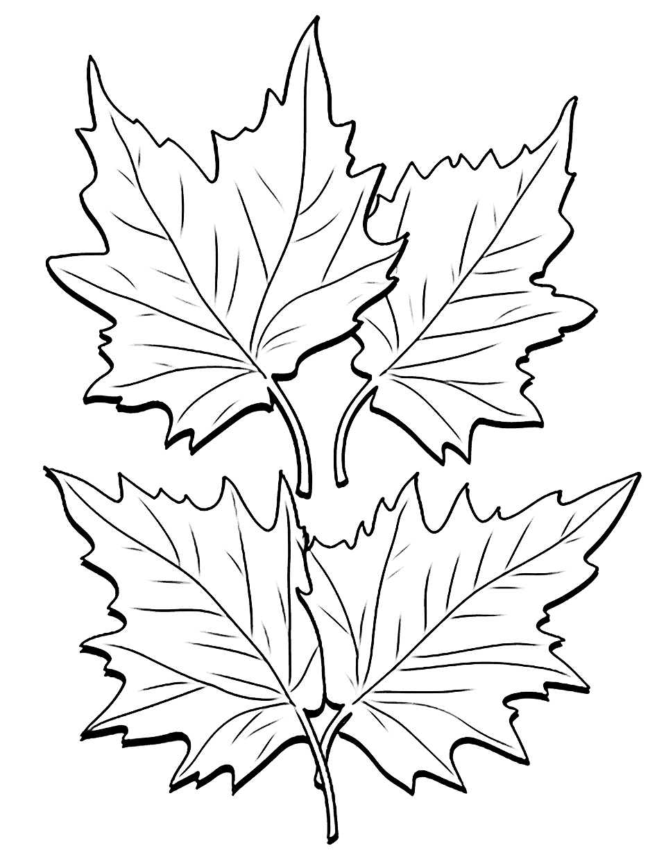 Fun with Fall Leaves Thanksgiving Coloring Page - A picture full of fall leaves for children to color.