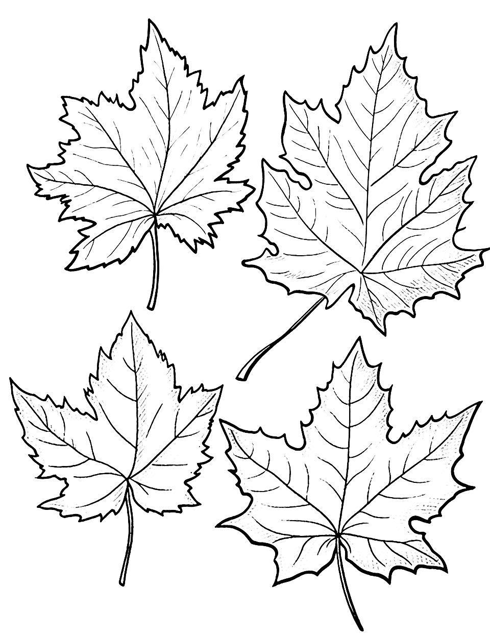 Intricate Fall Leaves Coloring Page - Detailed fall leaf patterns for children to color.