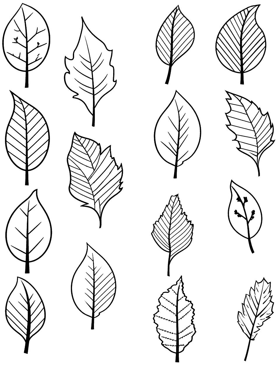 Simple Leaf Designs Fall Coloring Page - Sixteen separate leaves are laid out in a loose grid, no two quite alike: some smooth and rounded, some jagged, some striped with close-set veins. Nothing connects them, so a child can color two leaves, wander off, and come back later without leaving anything half-finished. Print a second copy on cardstock and cut the leaves out for a shape-sorting game.
