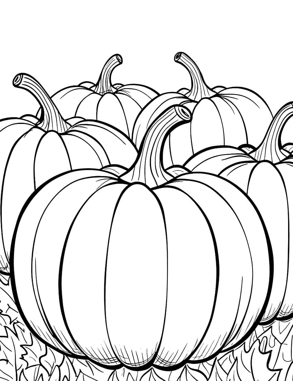 Plain Pumpkin Patch Coloring Page - A collection of plain pumpkins in a patch, waiting for their vibrant colors to be filled in.