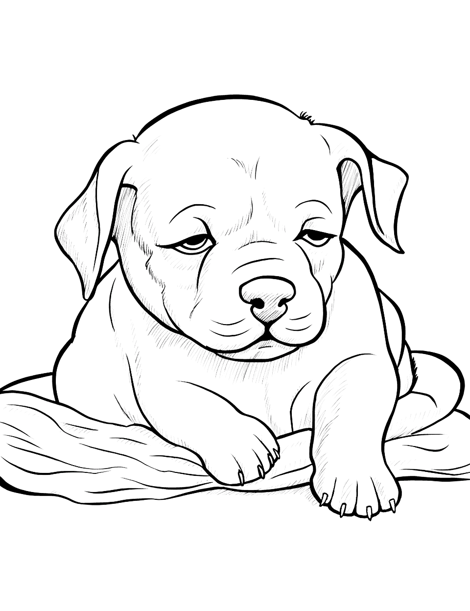 Sleepy Time Bulldog Puppy Napping Coloring Page - A Bulldog puppy taking a nap on a soft pillow.
